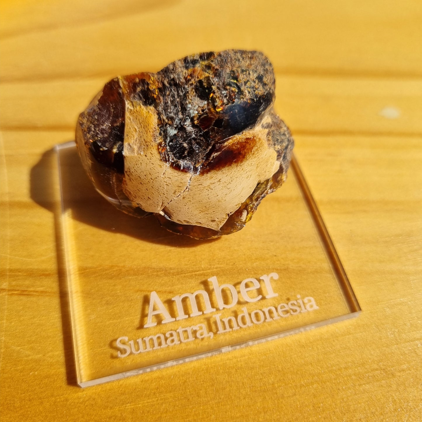 Amber Half Polished - Indonesia