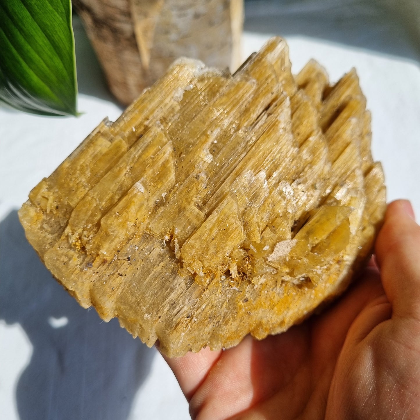 Gypsum Cluster - Australia - 518g