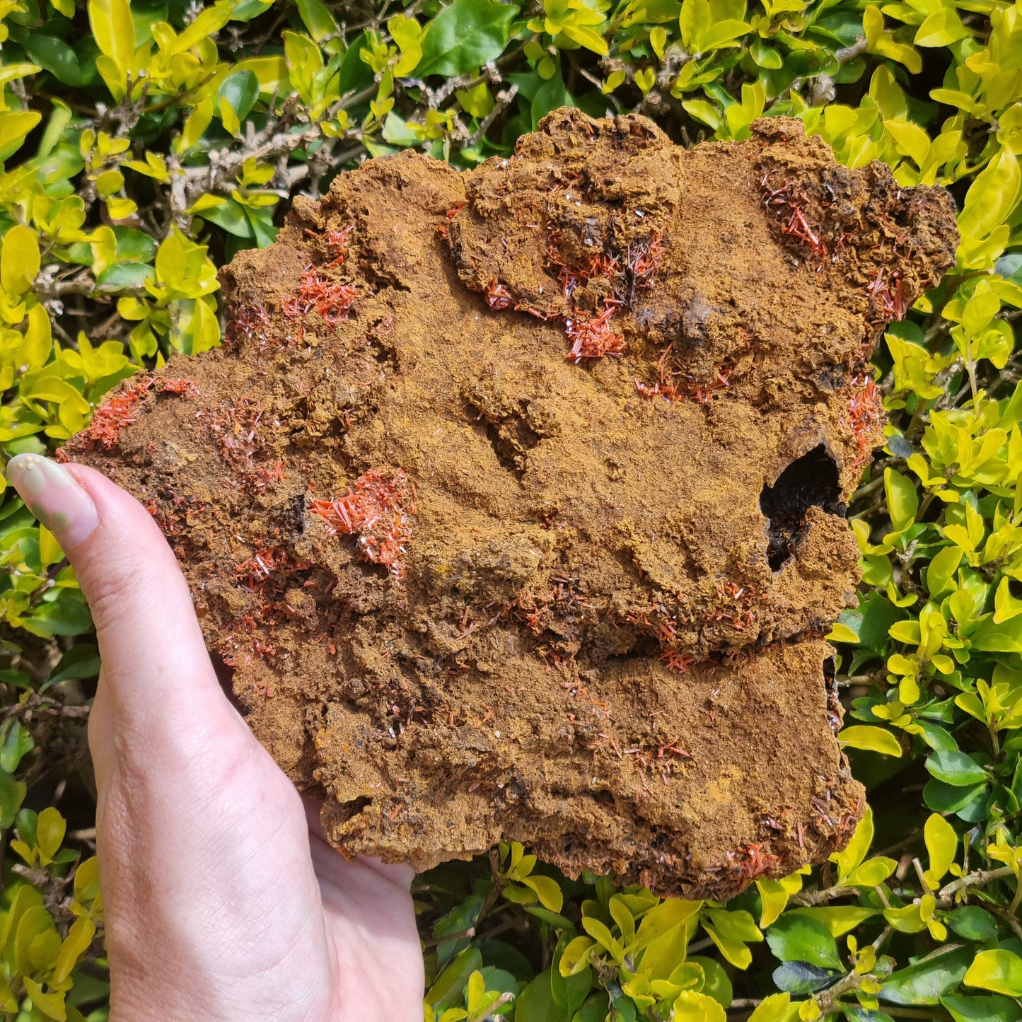 Crocoite Specimen - Australia - 726g