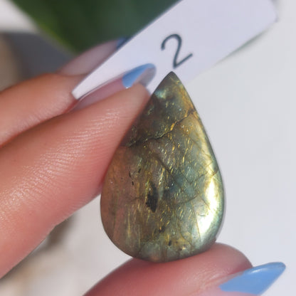 Labradorite Drilled Cabochon