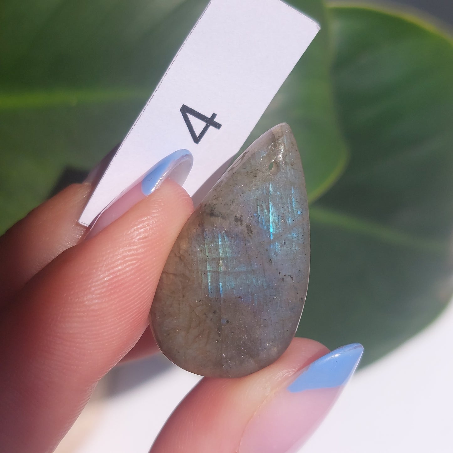 Labradorite Drilled Cabochon