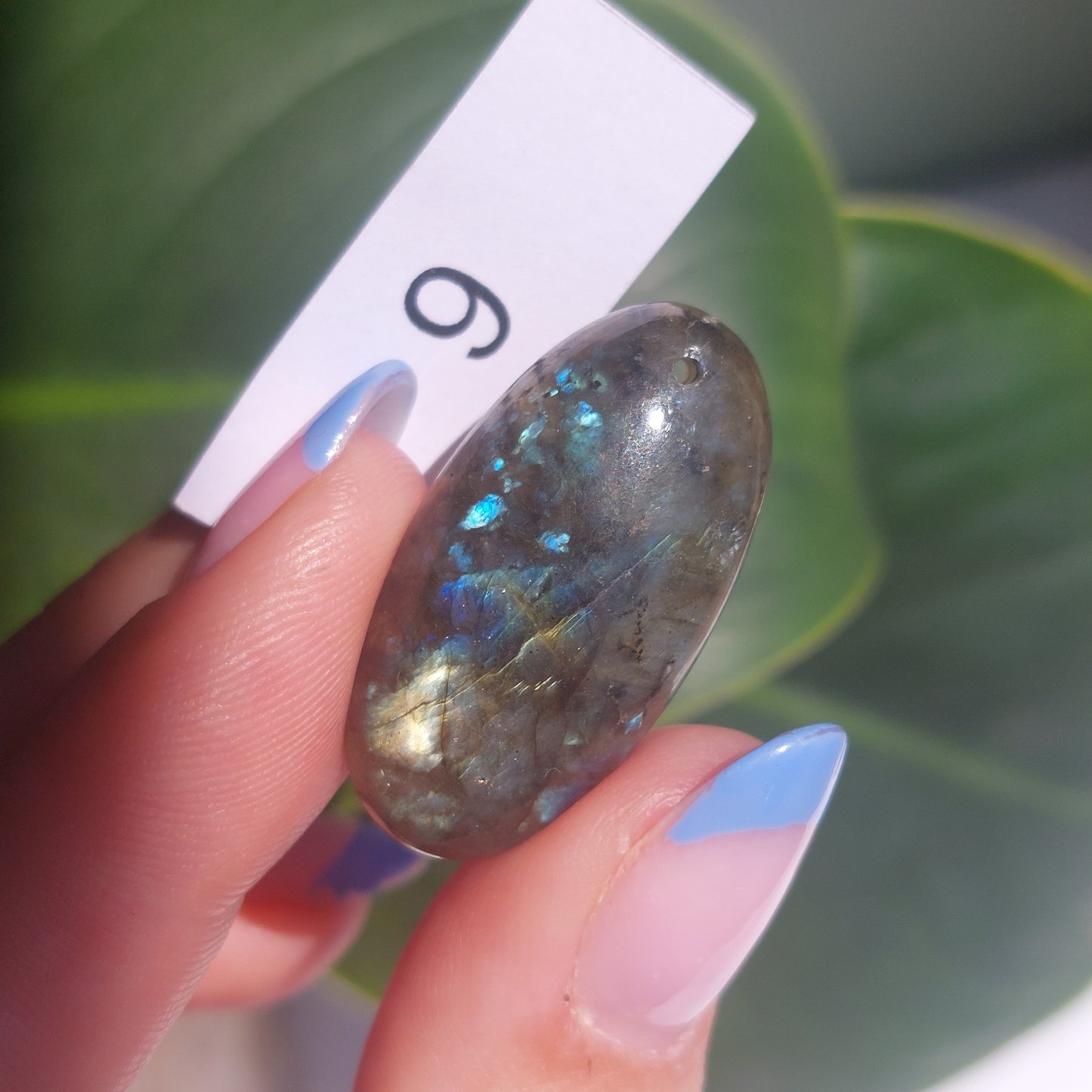 Labradorite Drilled Cabochon