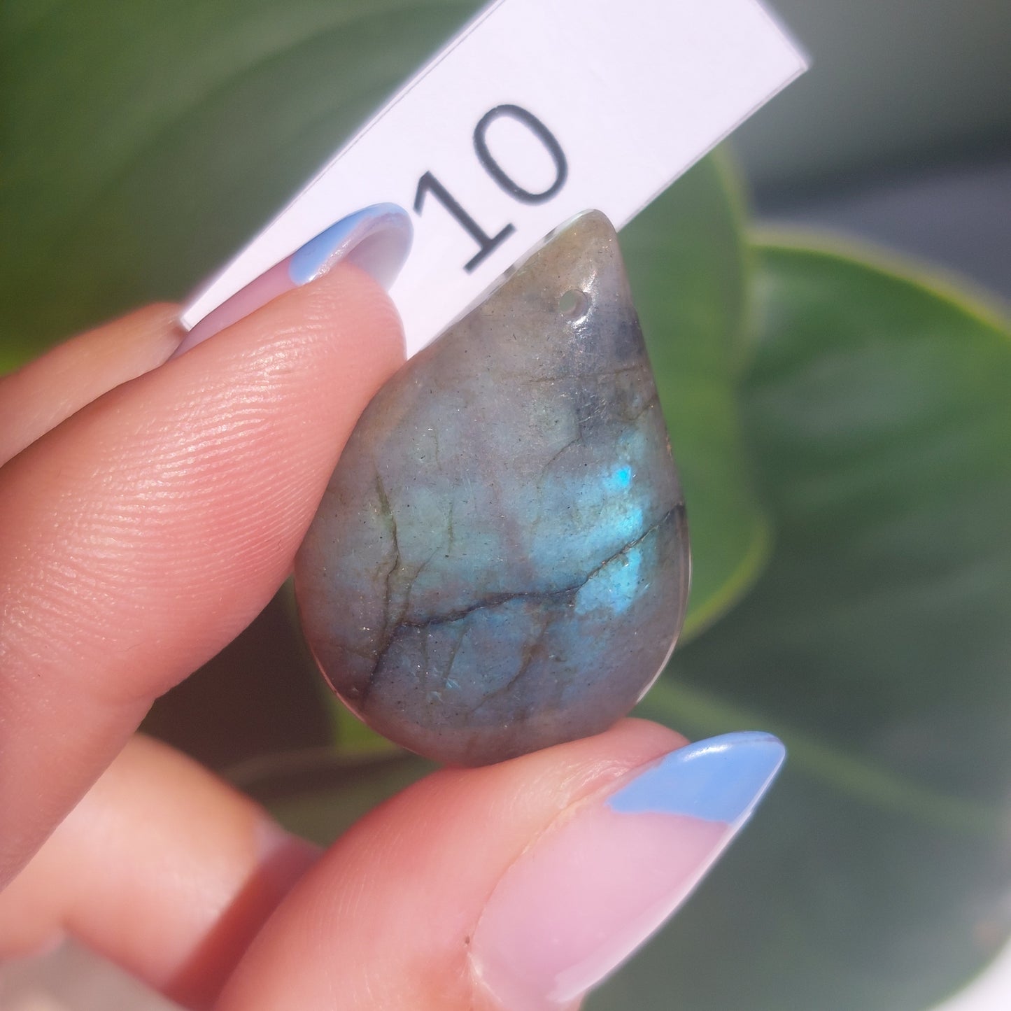 Labradorite Drilled Cabochon