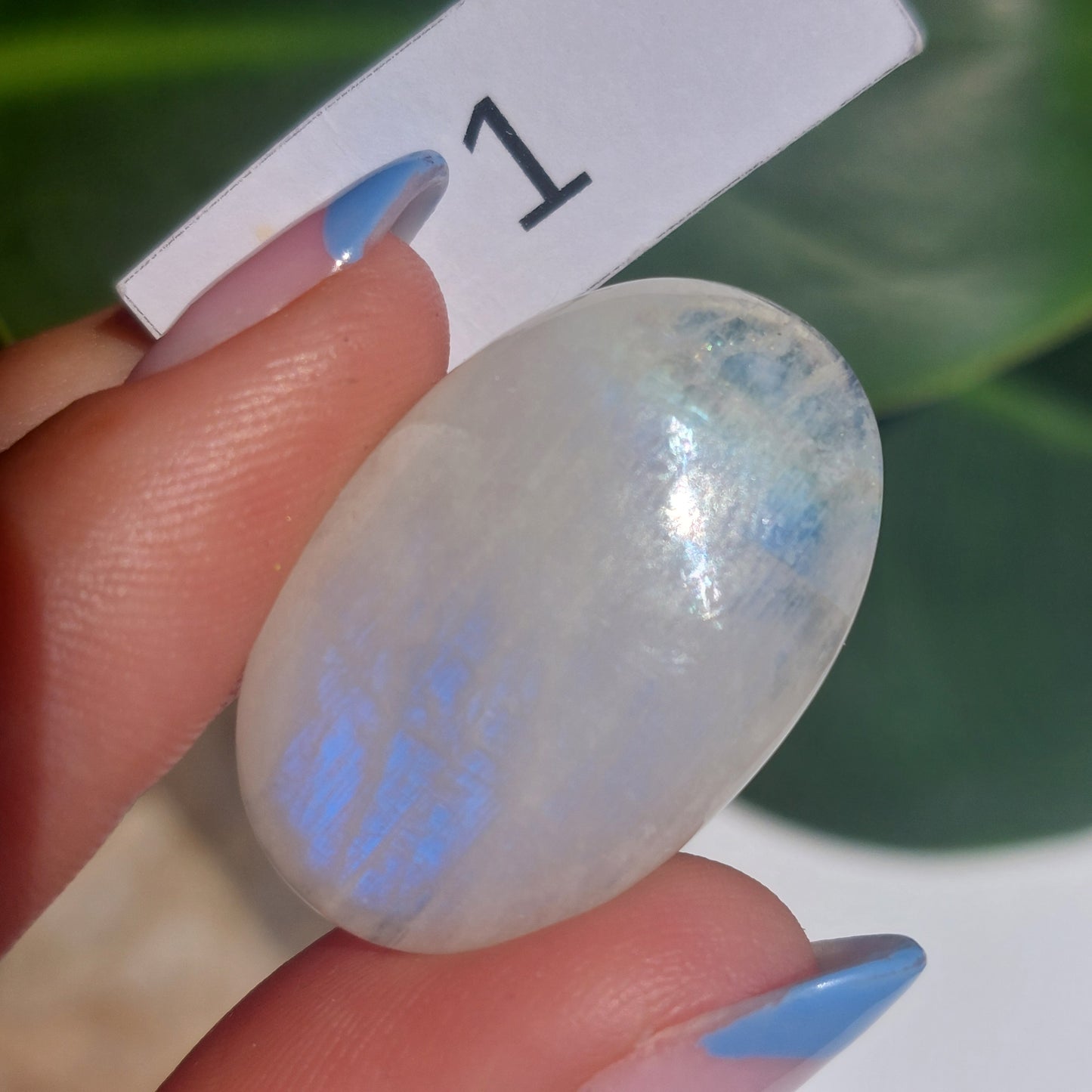 Moonstone Cabochon