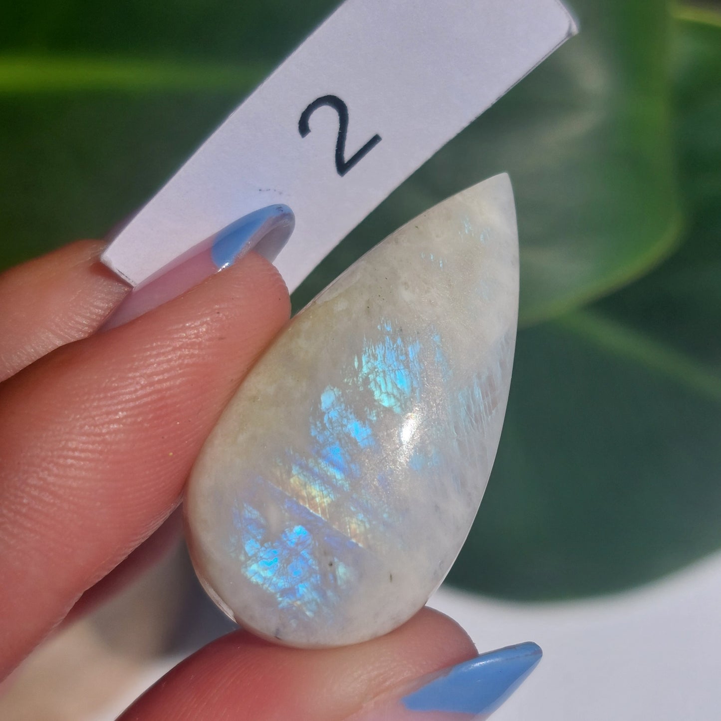 Moonstone Cabochon