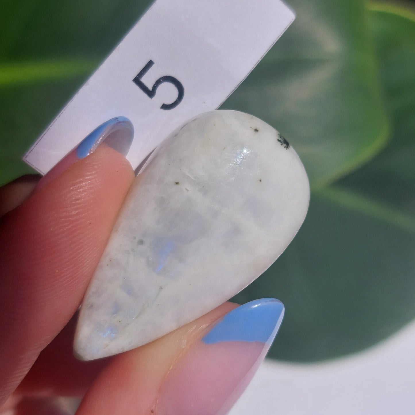 Moonstone Cabochon