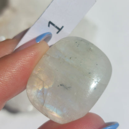 Moonstone Drilled Cabochon