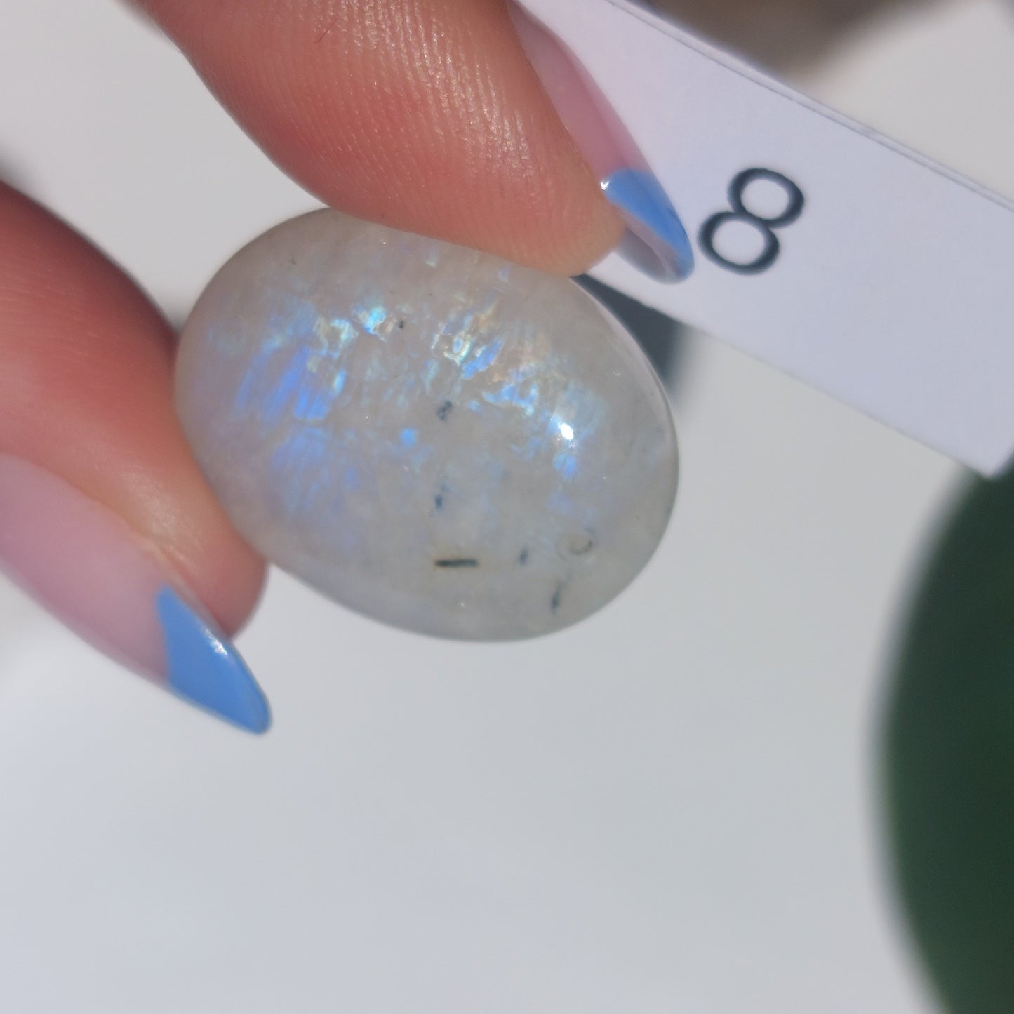 Moonstone Drilled Cabochon