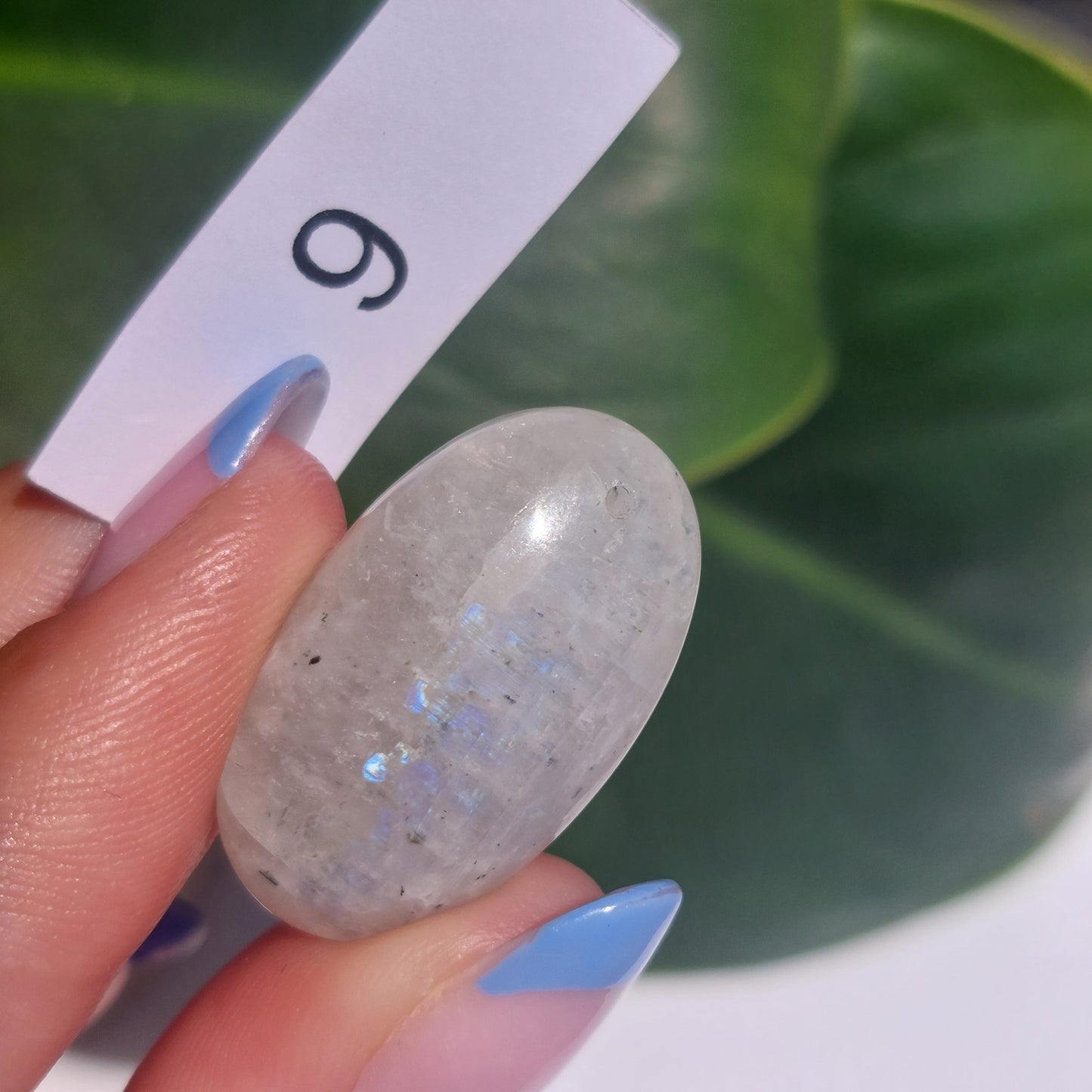 Moonstone Drilled Cabochon