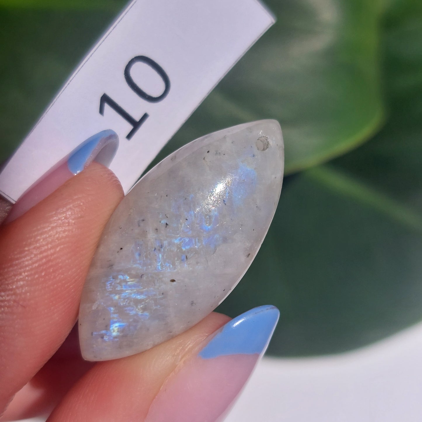 Moonstone Drilled Cabochon