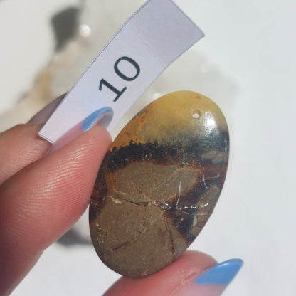 Septarian Drilled Cabochon