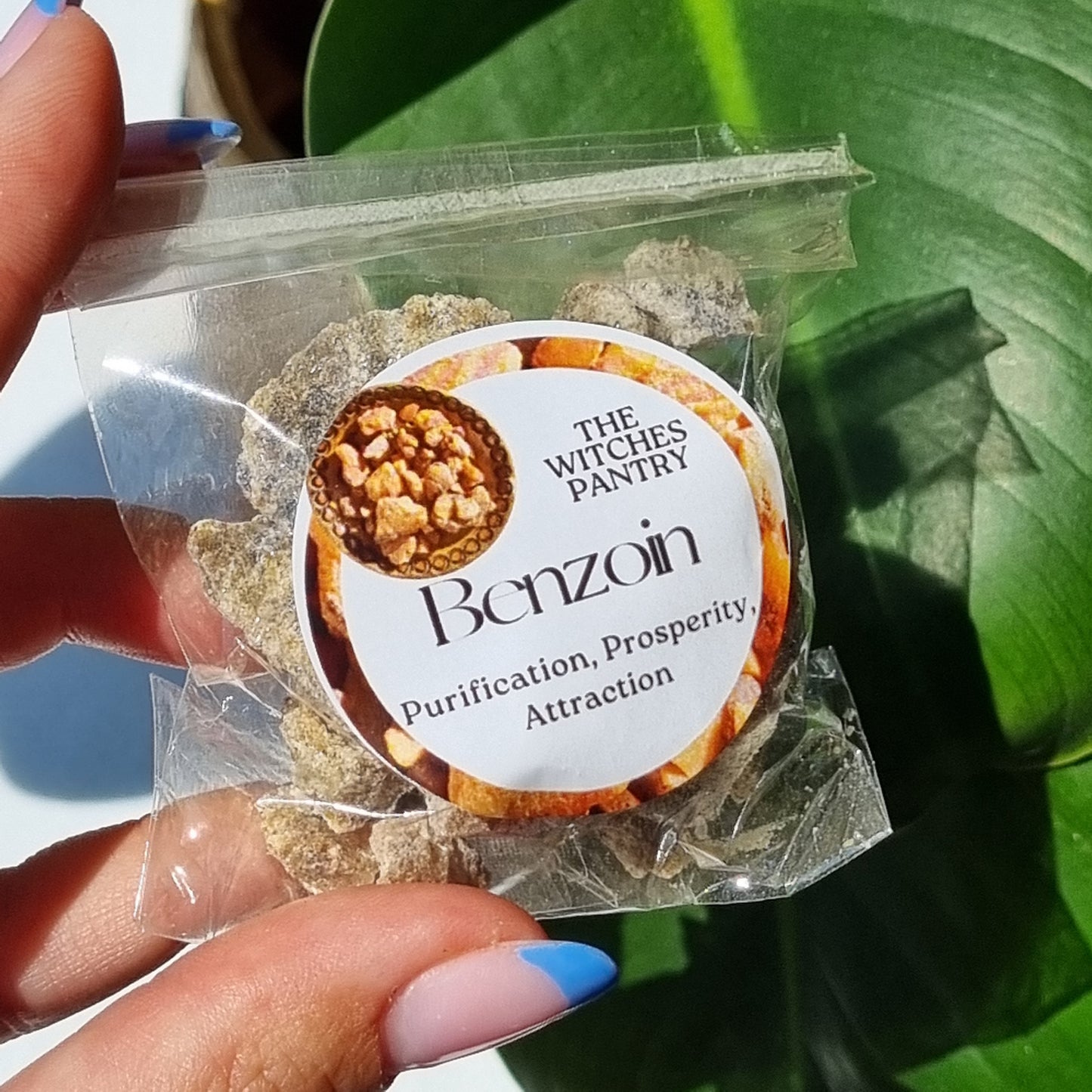 Benzoin Resin - Indonesian