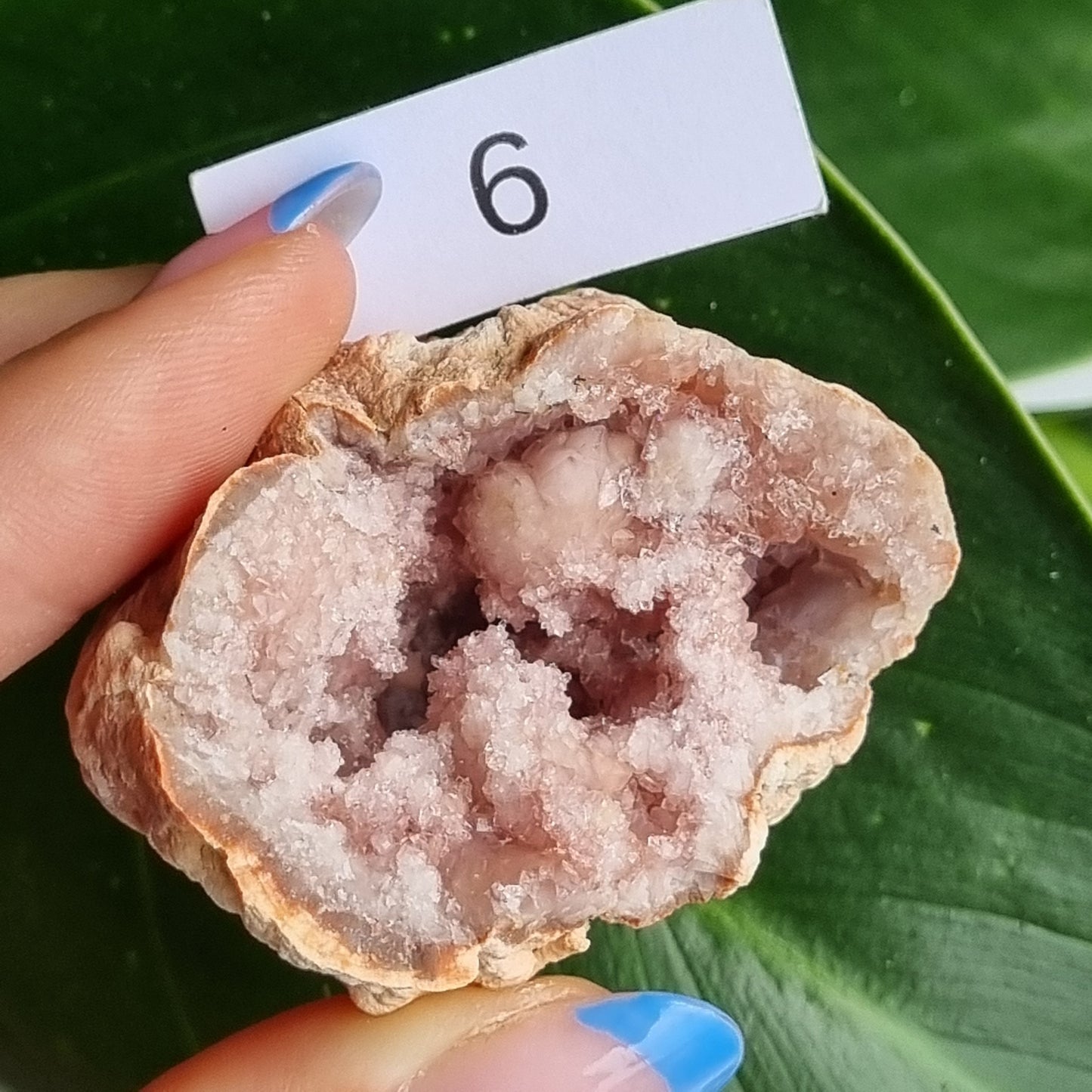 Pink Amethyst Geode - Argentina