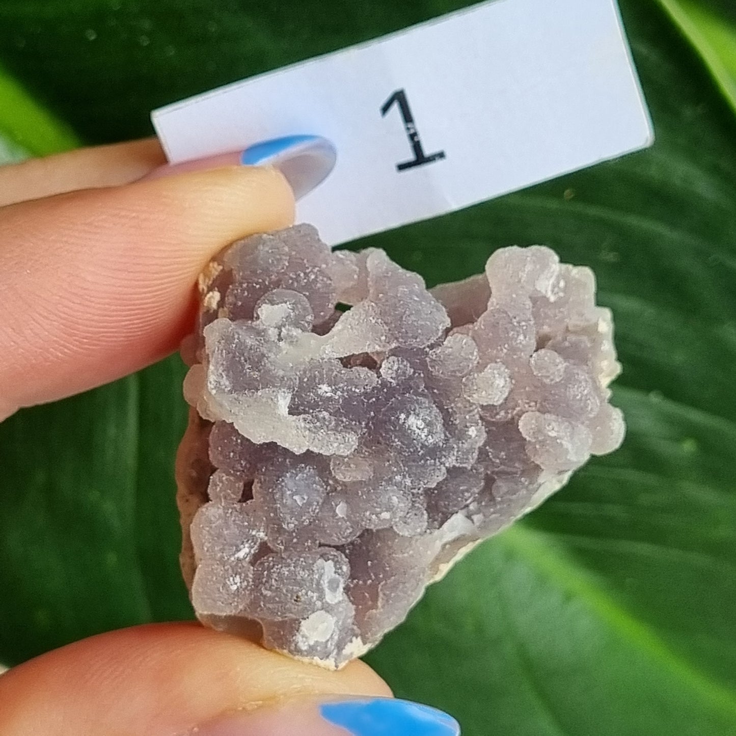 Grape Agate Specimen - Indonesia