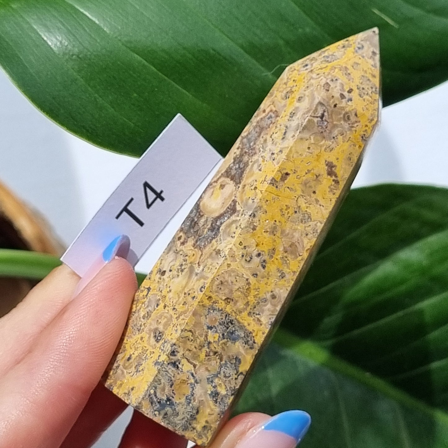 Leopard skin Jasper Tower - Madagascar