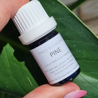 Pine Essential Oil - 5ml