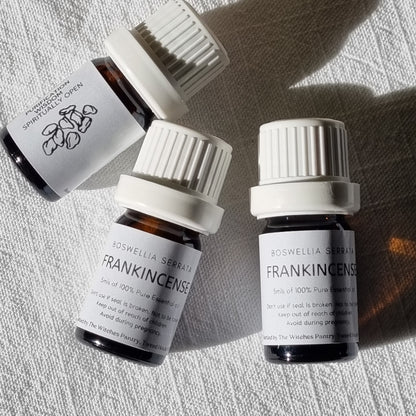 Frankincense Serrata Essential Oil  Organic - 5ml