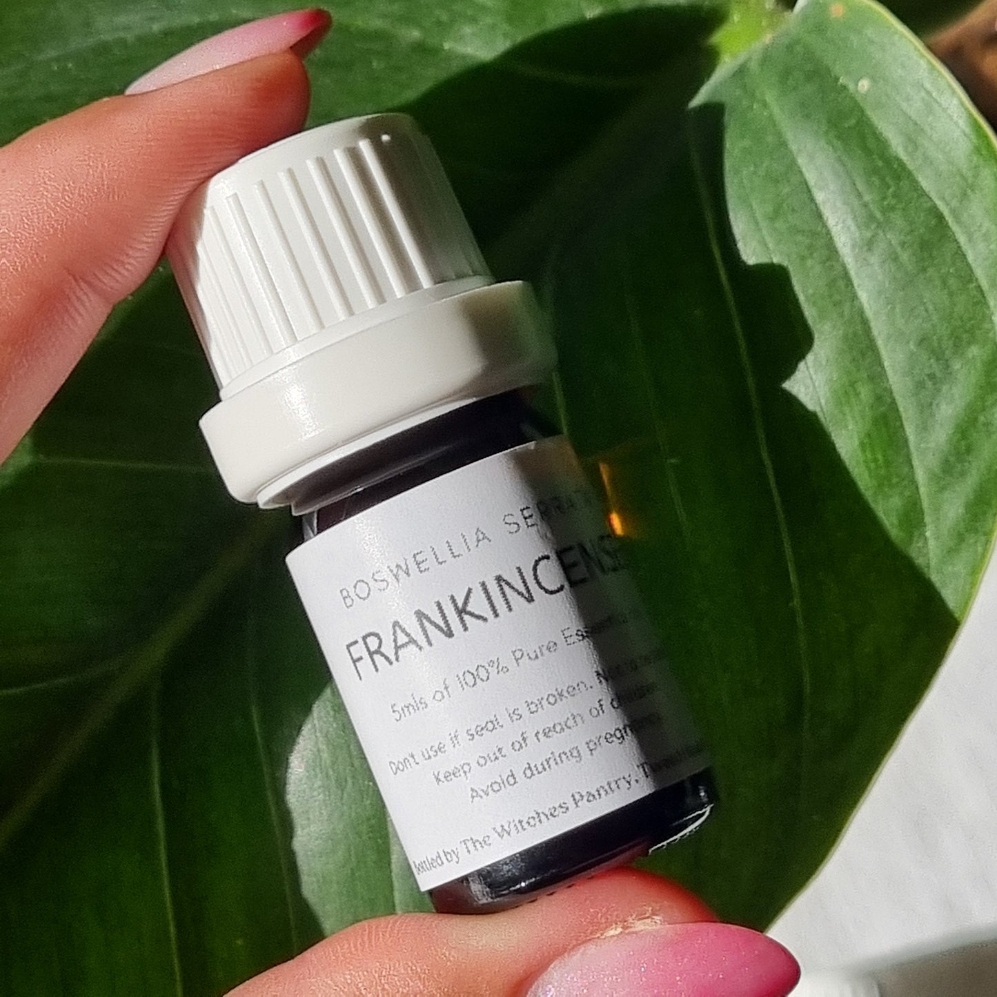 Frankincense Serrata Essential Oil  Organic - 5ml