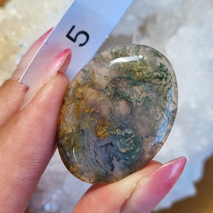 Moss Agate Cabochon