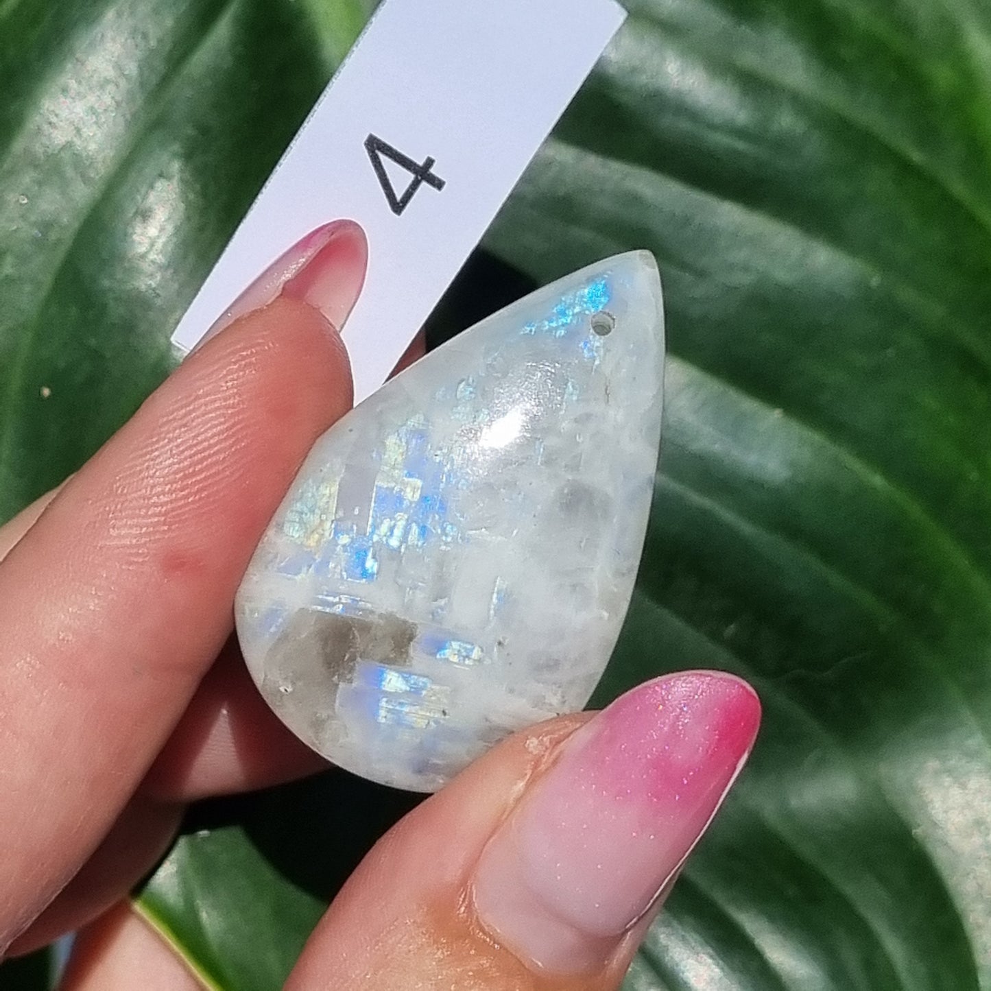 Moonstone Drilled Cabochon