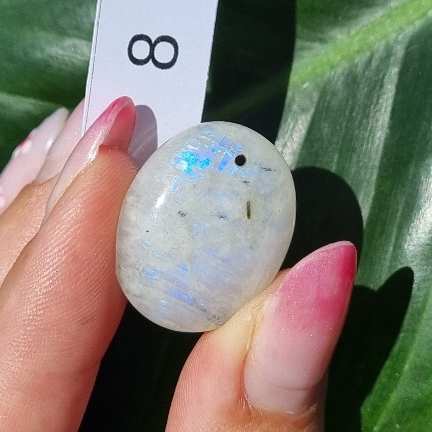 Moonstone Drilled Cabochon