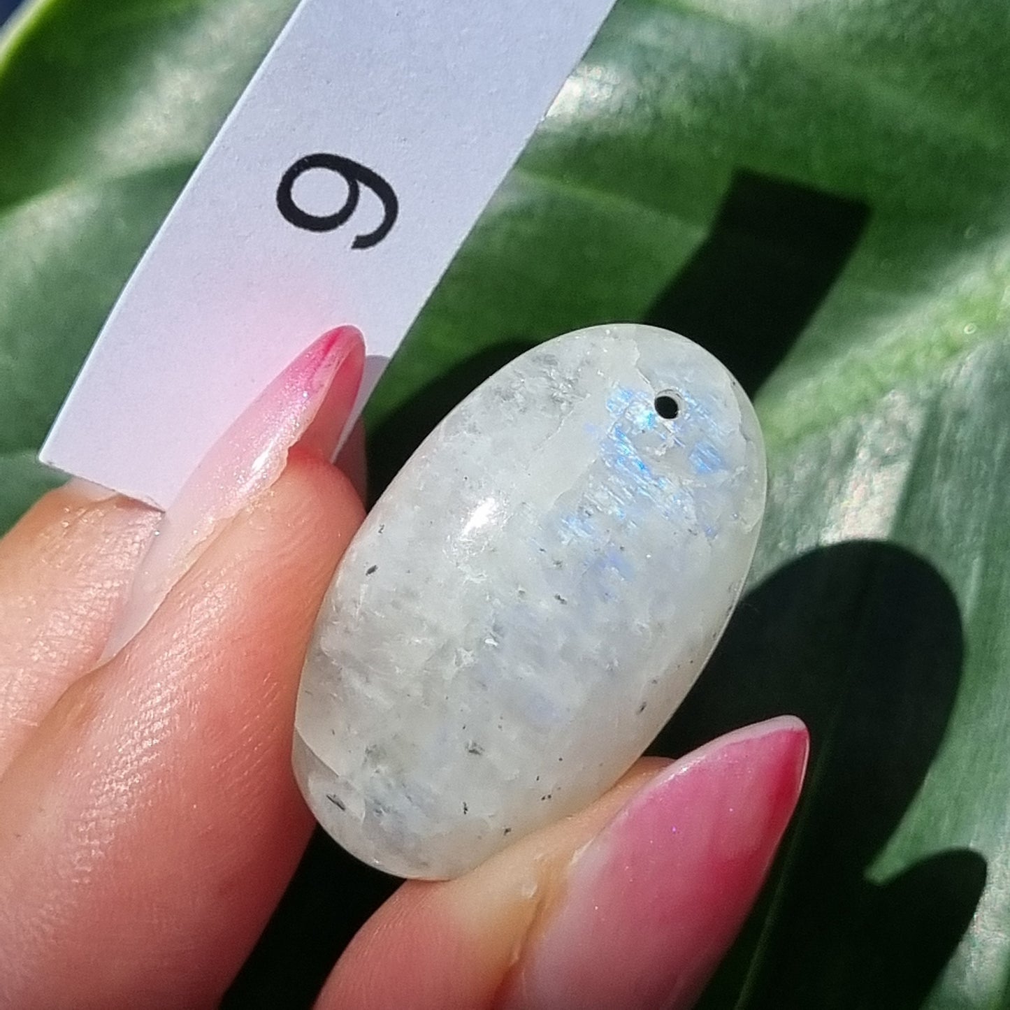 Moonstone Drilled Cabochon