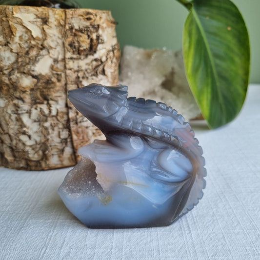 Agate Chameleon - Brazil - 327g