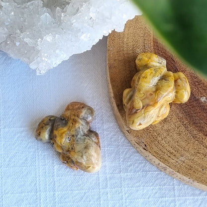 Crazy Lace Agate Frog - 40mm