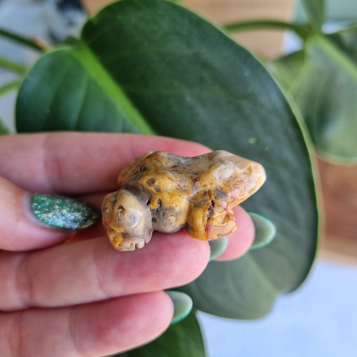 Crazy Lace Agate Frog - 40mm