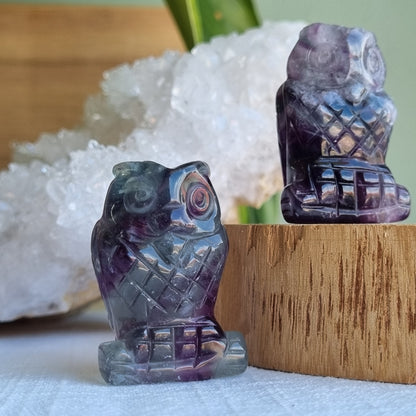 Fluorite Owl - 40mm