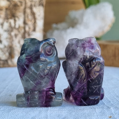 Fluorite Owl - 40mm