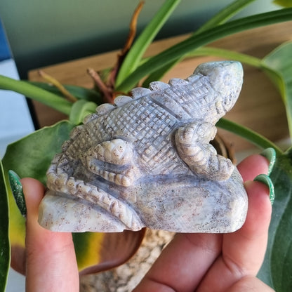 Ocean Jasper Iguana - Madagascar - 228g