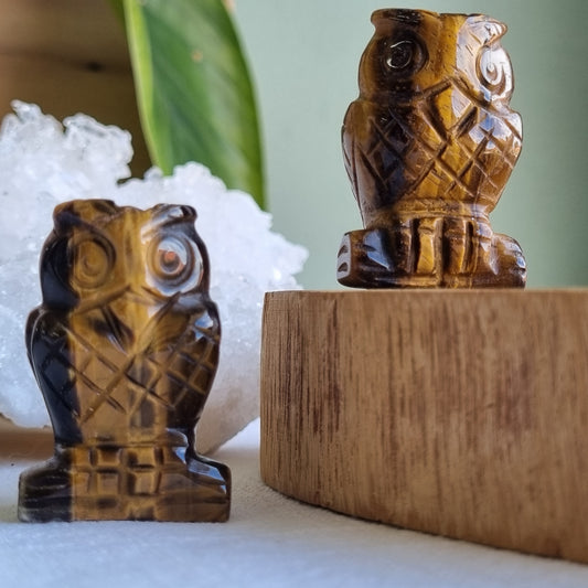 Tigers Eye Owl - 40mm