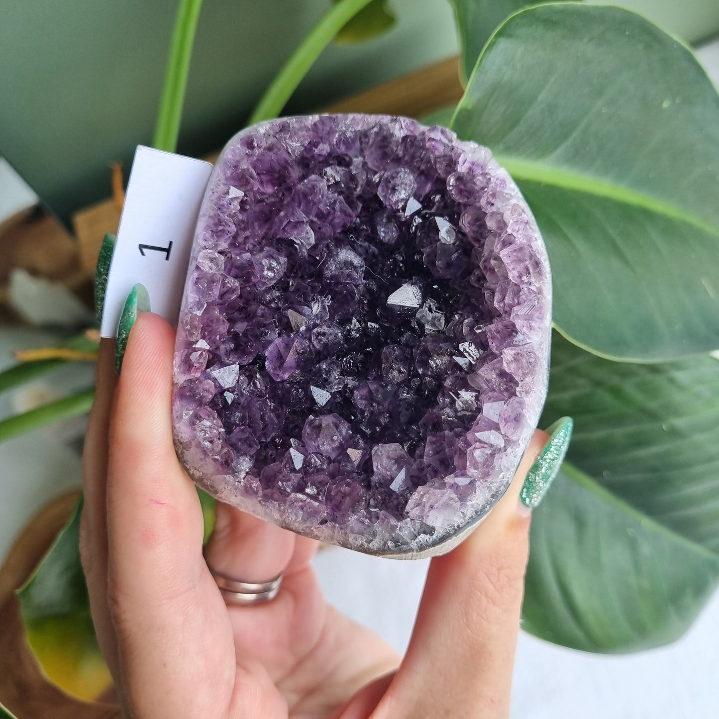 Amethyst Standing Cluster - Brazil