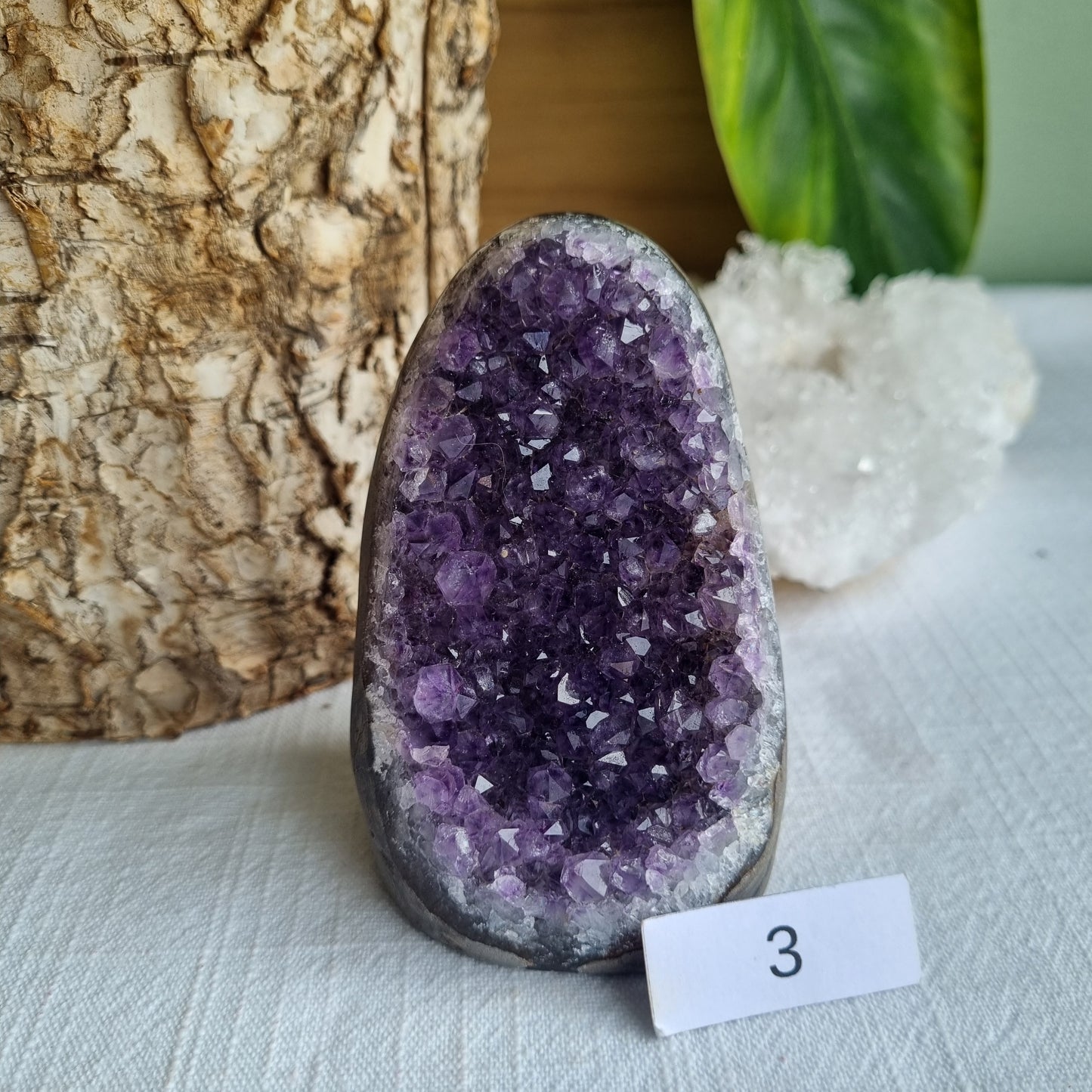 Amethyst Standing Cluster - Brazil