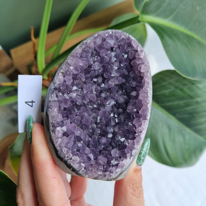 Amethyst Standing Cluster - Brazil