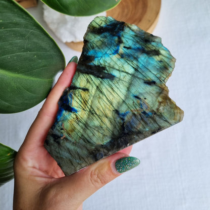 Labradorite Standing Half Polished - 417g