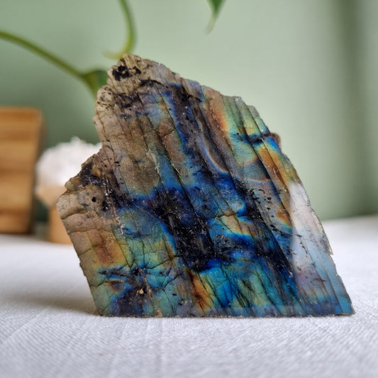 Labradorite Standing Half Polished - 148g