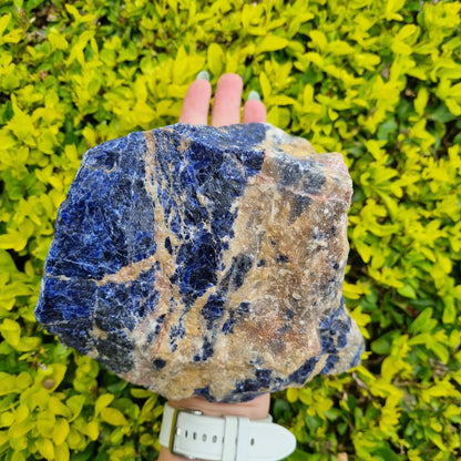 Sunset Sodalite Raw - Brazil - 2.33kg