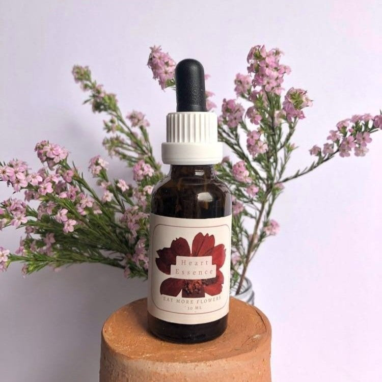 Heart Flower Essence - Eat More Flowers - 30ml - Sparrow and Fox