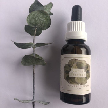 Earth Flower Essence - Eat More Flowers - 30ml - Sparrow and Fox