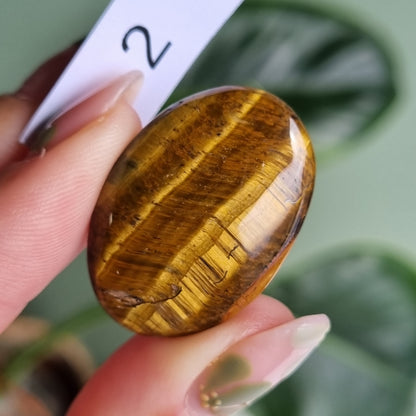 Tigers Eye Cabochon