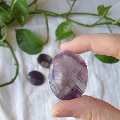 Amethyst Worry Stone - Sparrow and Fox