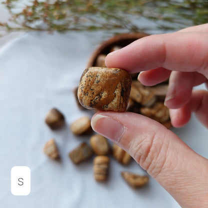 Picture Jasper Tumble - Sparrow and Fox