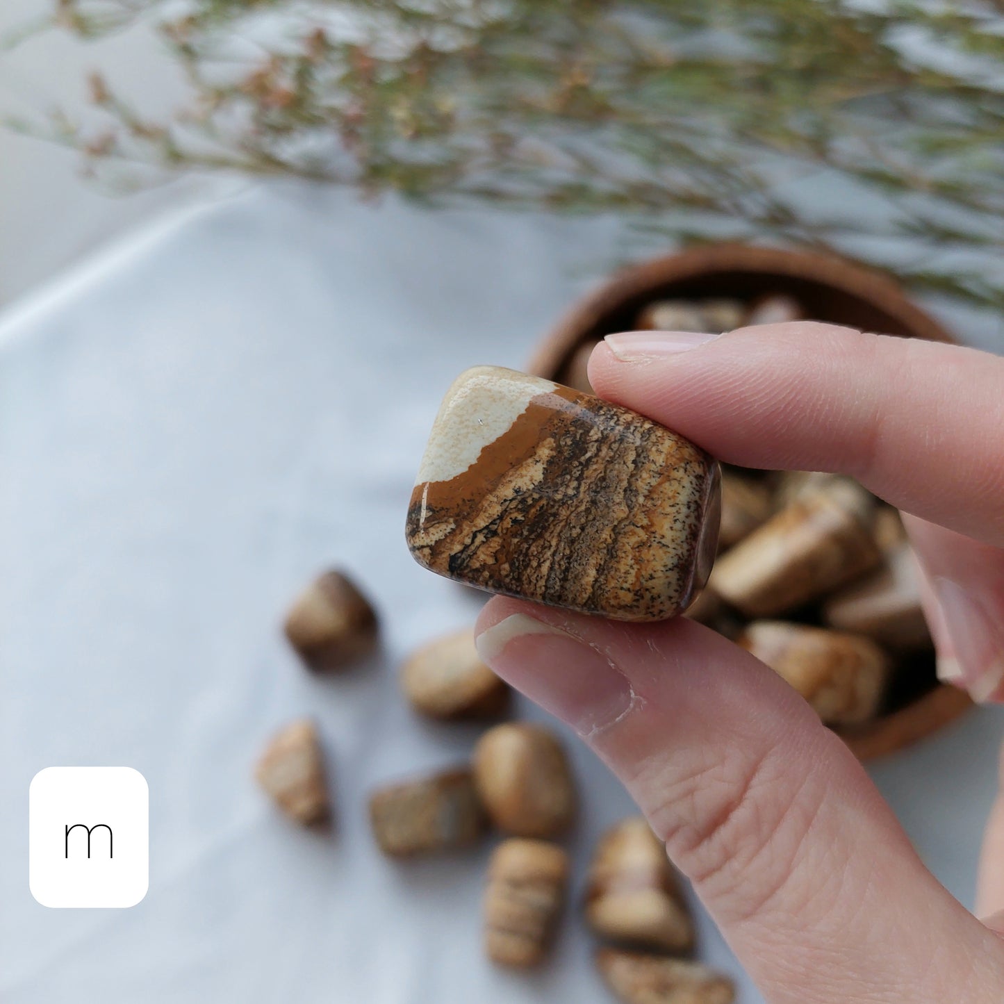 Picture Jasper Tumble - Sparrow and Fox