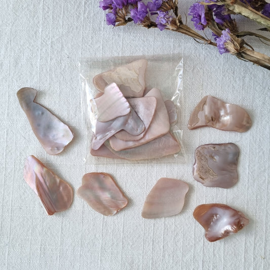 Pink Mussel Shell Chips Pack - Sparrow and Fox