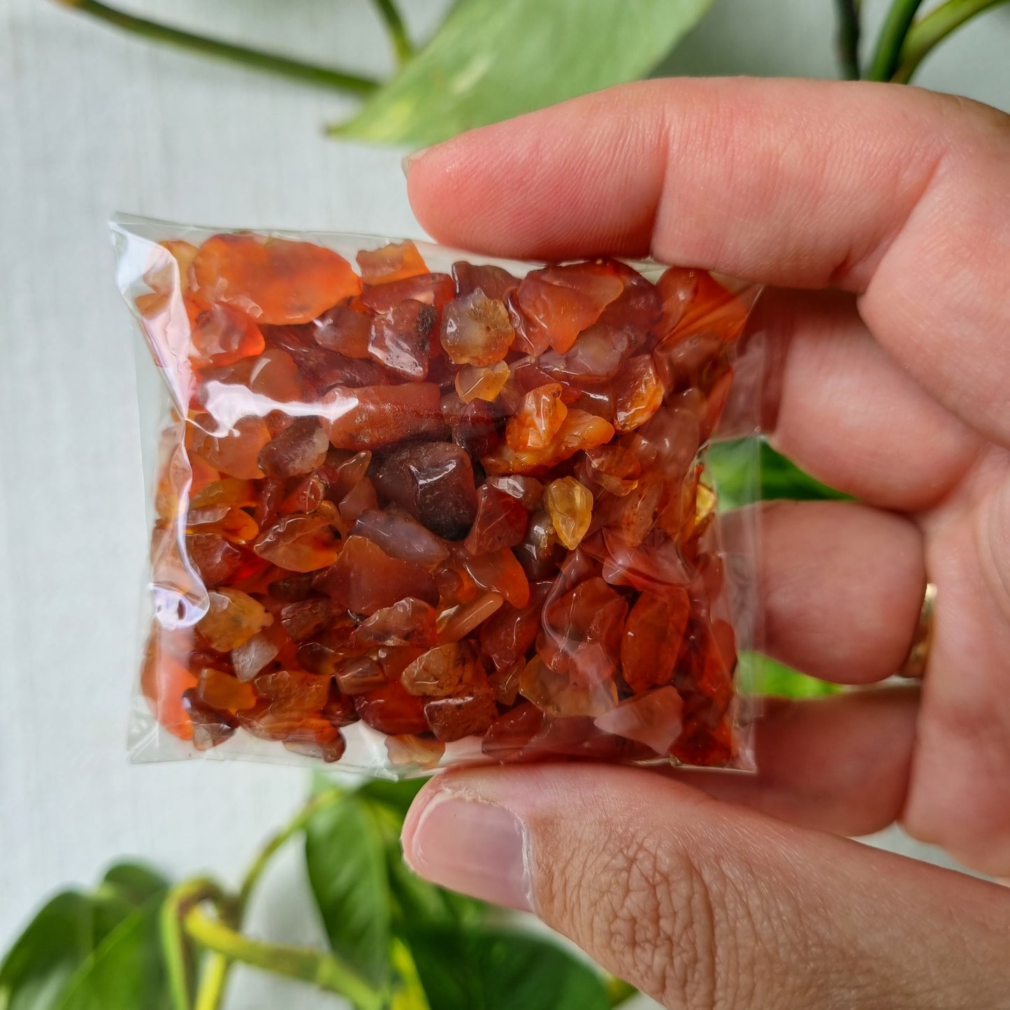 Carnelian Raw Chips - Sparrow and Fox