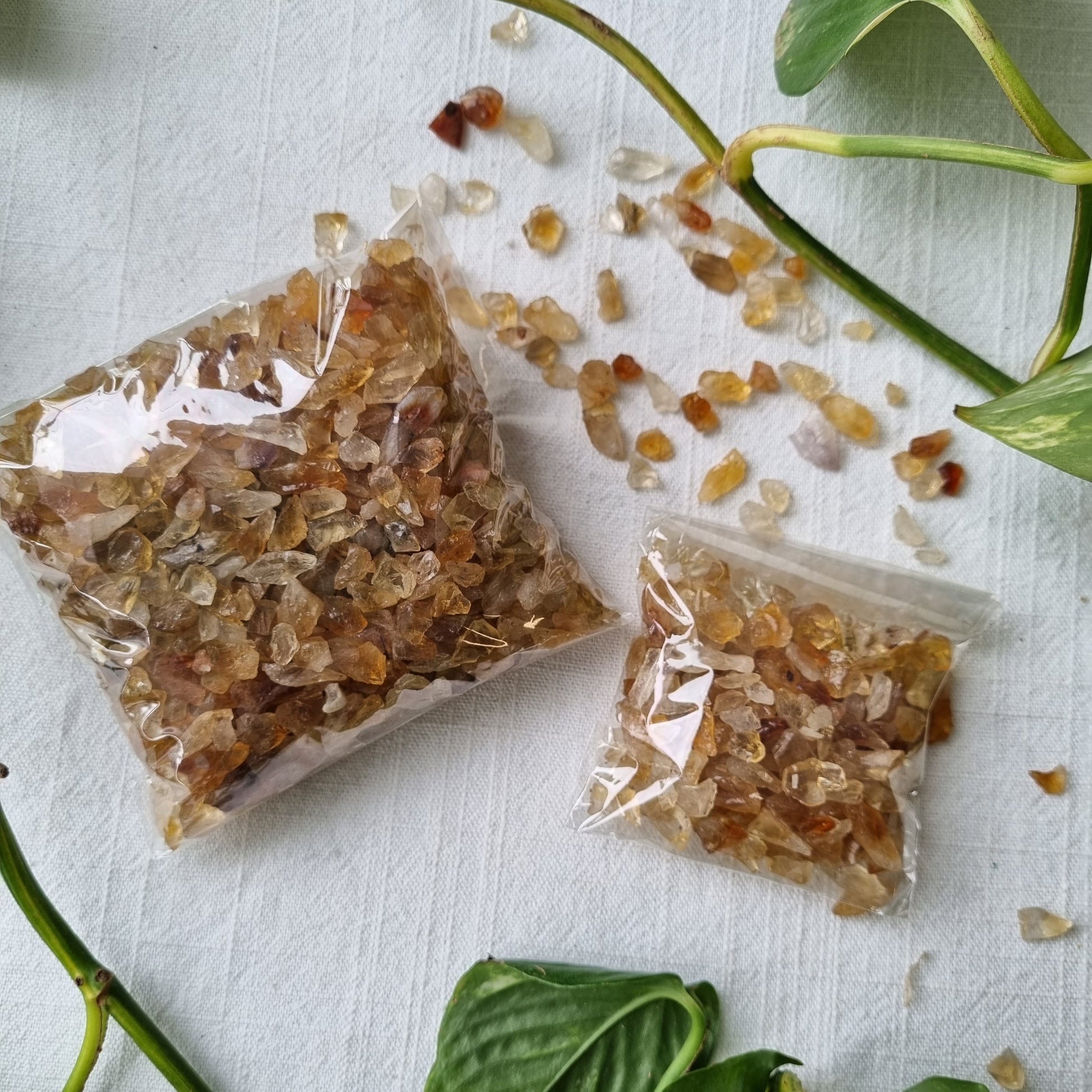 Citrine Raw Chips - Sparrow and Fox