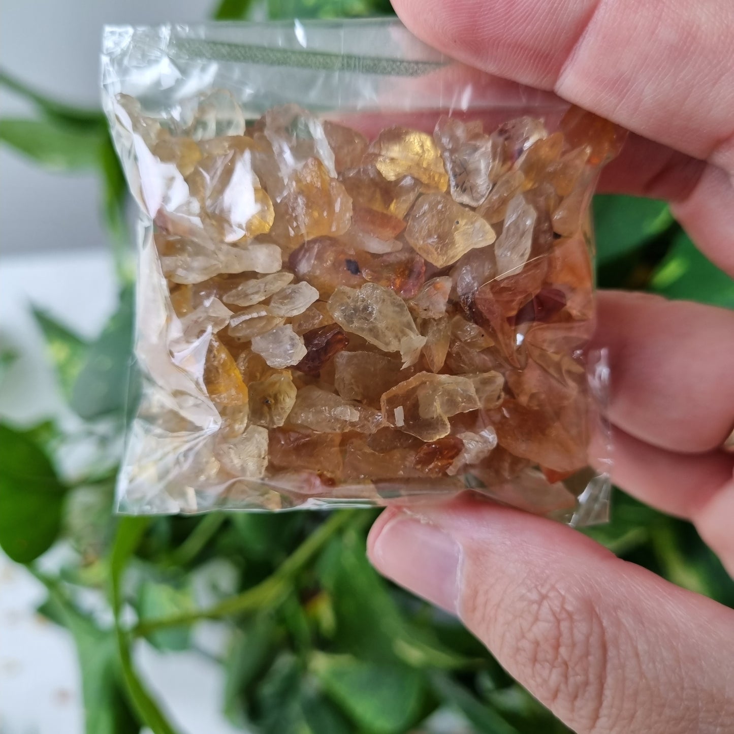 Citrine Raw Chips - Sparrow and Fox