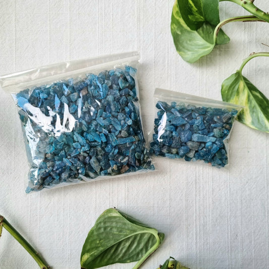 Blue Apatite Raw Chips - Sparrow and Fox